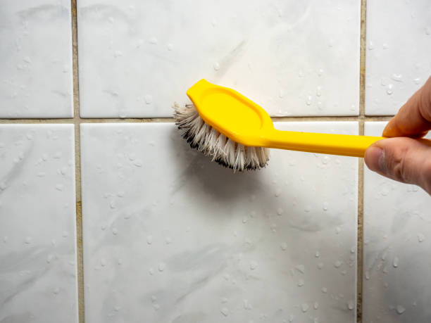 Best Mold Cleaning Services  in Montevlo, AL