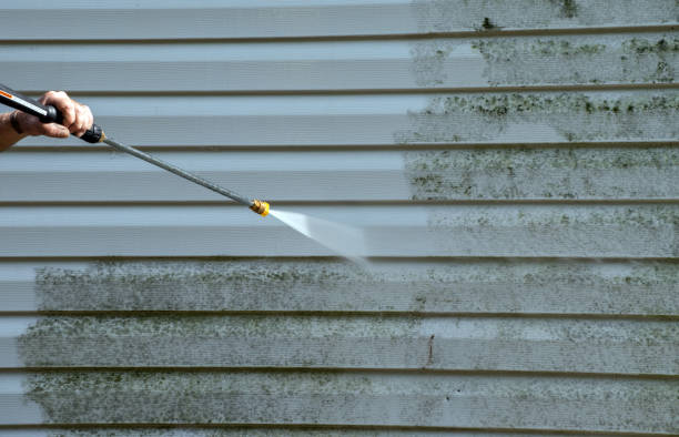 Best Commercial Mold Removal  in Montevlo, AL